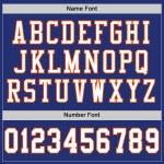Authentic Royal Jersey White-Orange Custom Mesh Football